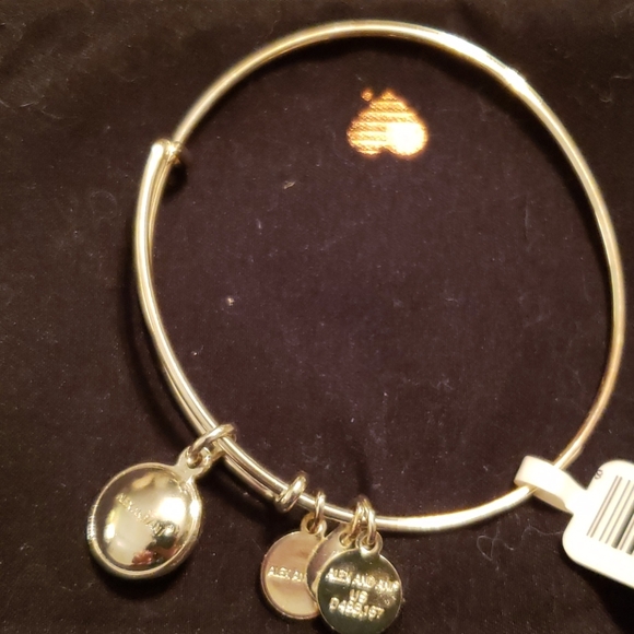 🆕️NWT Alex and Ani Ruby birthstone bracelet - Picture 3 of 3